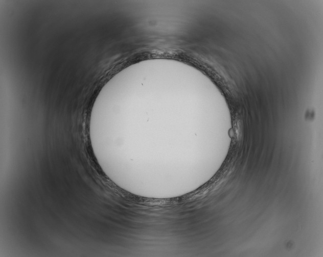 X0000102511396200809051358