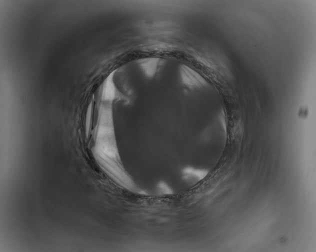 X0000102511397200809051358