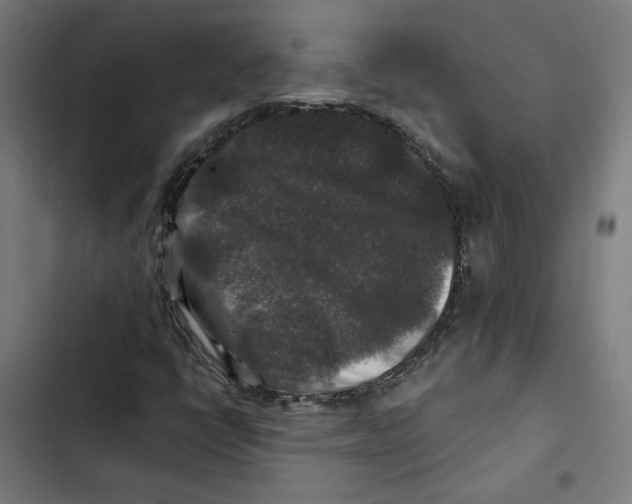 X0000102511398200809051358