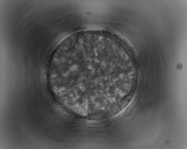 X0000102511401200809051358