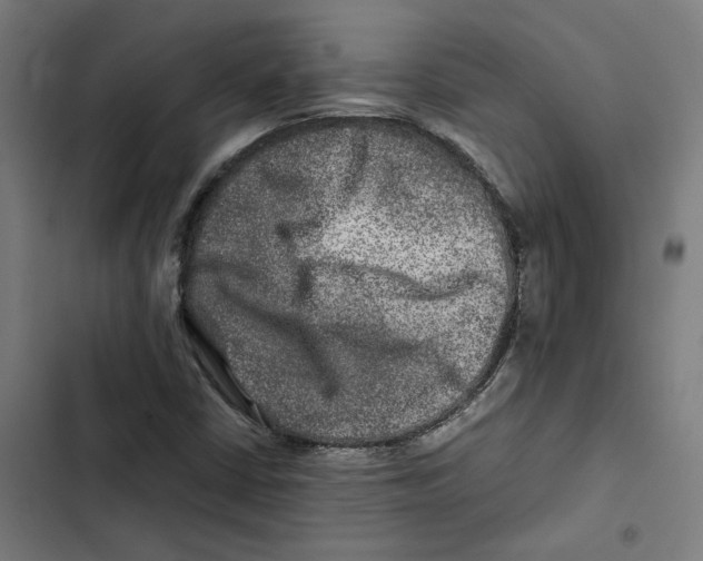 X0000102511402200809051359