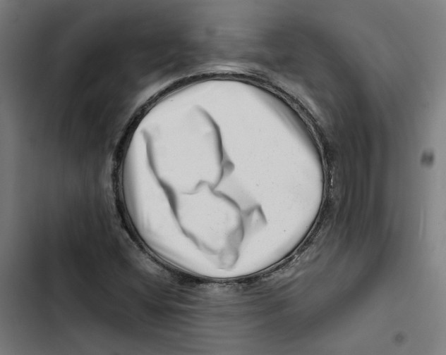 X0000102511404200809051359