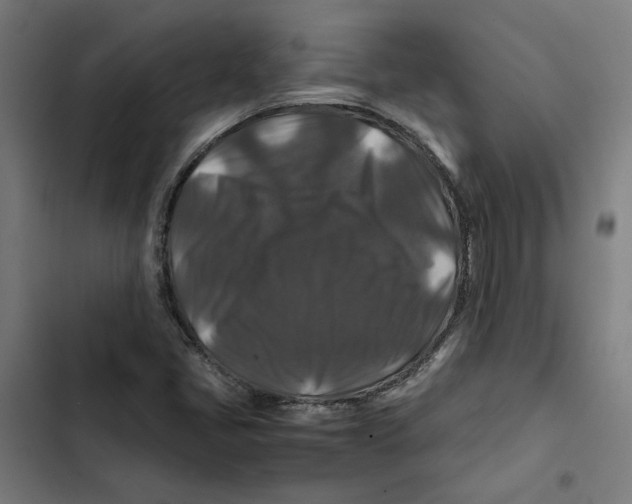X0000102511405200809051359