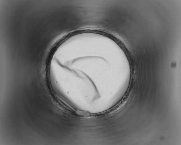 X0000102511406200809051359