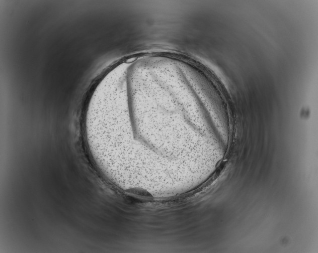 X0000102511407200809051359