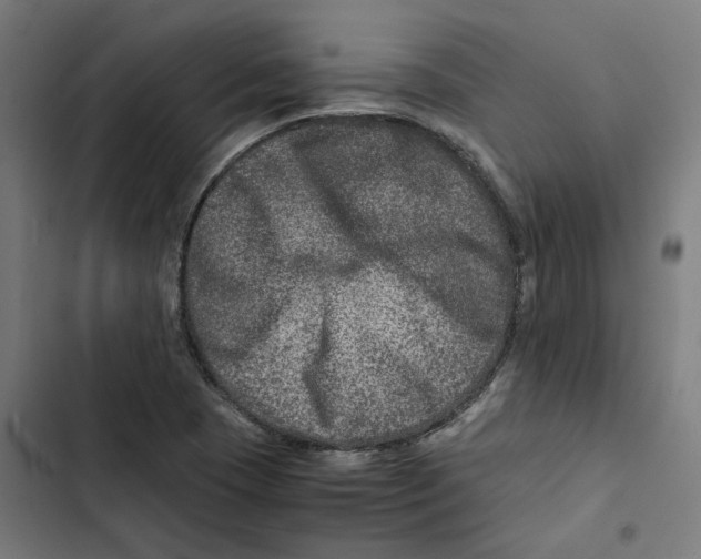 X0000102511409200809051359
