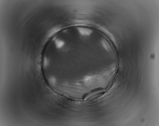 X0000102511411200809051359