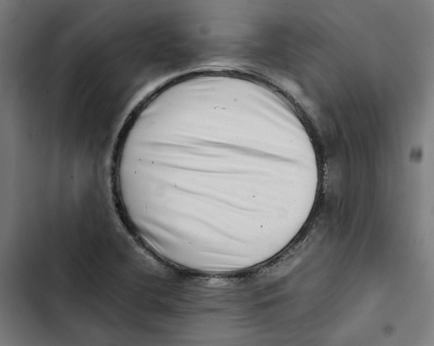 X0000102511412200809051359