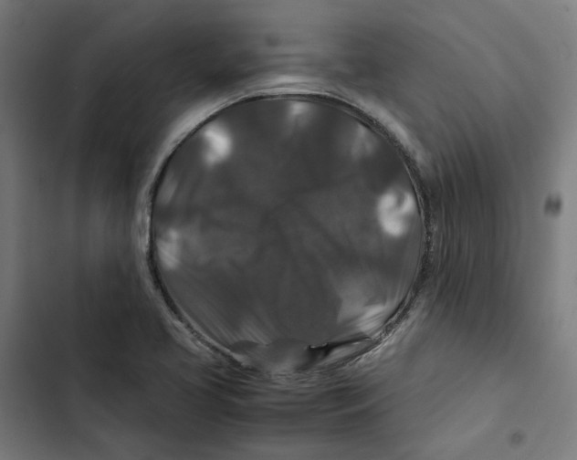 X0000102511413200809051359