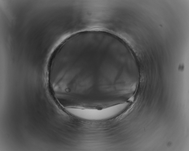 X0000102511414200809051359