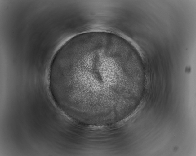 X0000102511415200809051359