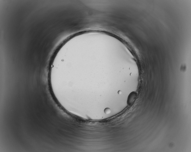 X0000102511416200809051359
