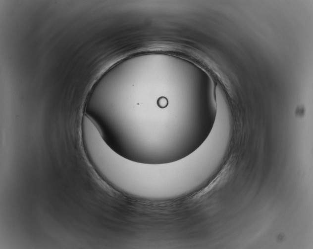 X0000102511417200809051359