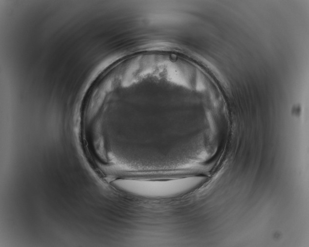 X0000102511418200809051359