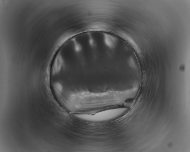 X0000102511419200809051359