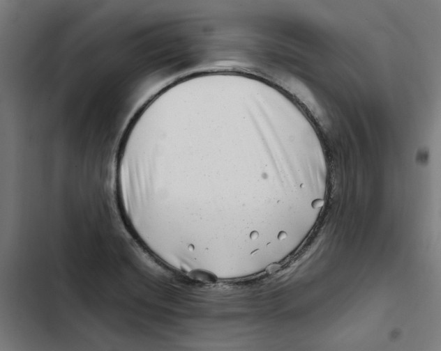X0000102511420200809051359