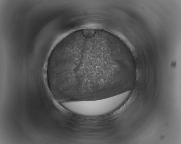 X0000102511421200809051359