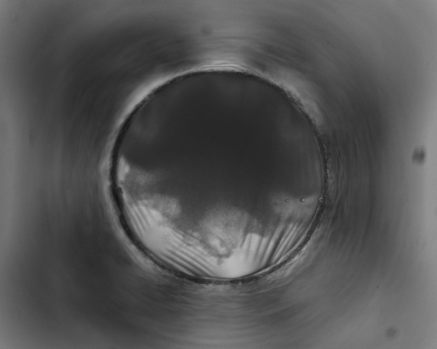 X0000102511422200809051359
