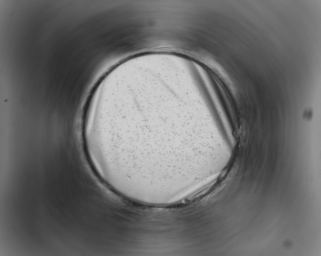 X0000102511424200809051359
