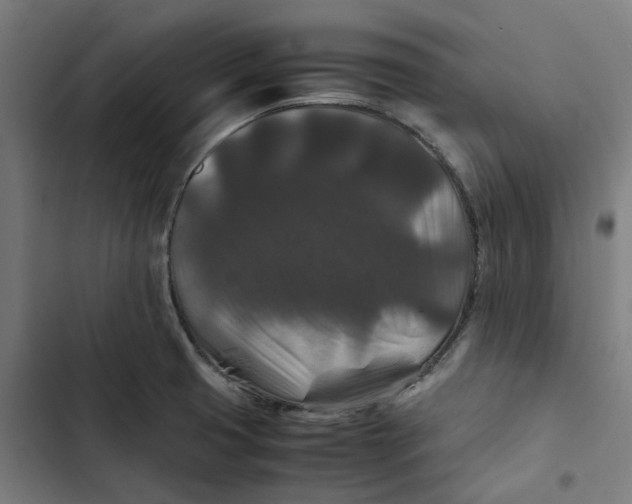 X0000102511425200809051359
