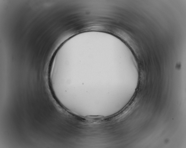 X0000102511426200809051359