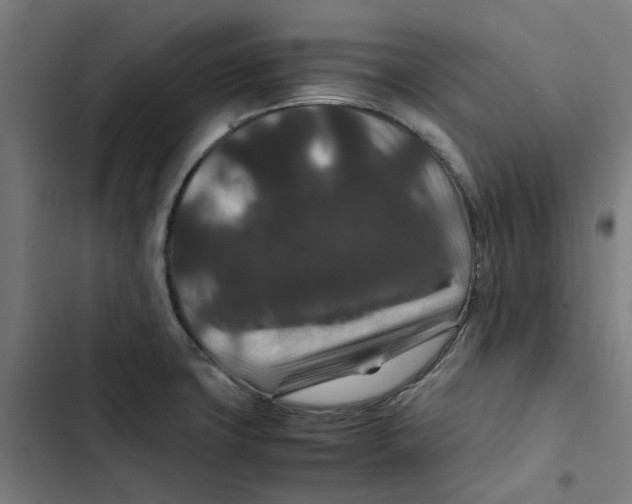 X0000102511427200809051359