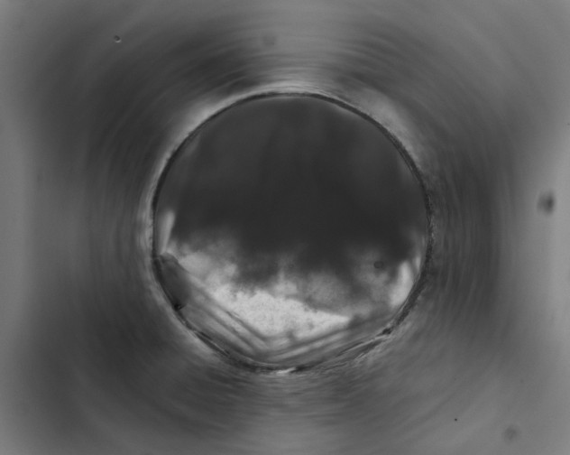 X0000102511428200809051359
