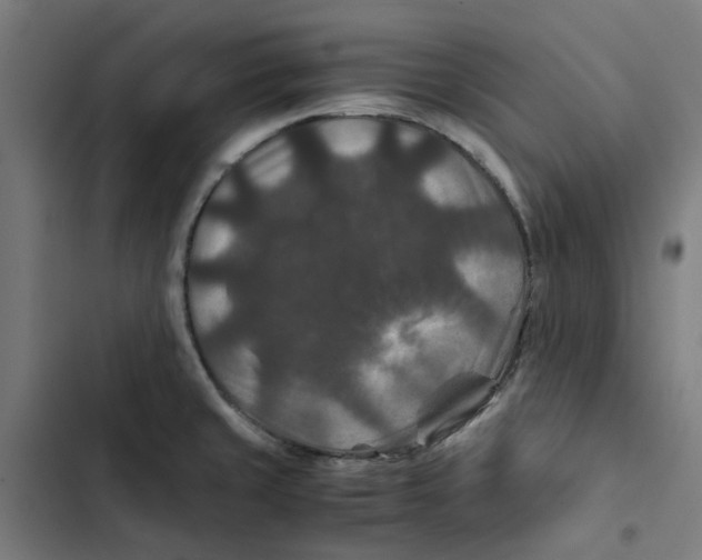 X0000102511429200809051359
