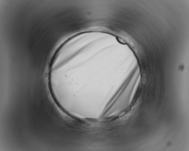 X0000102511430200809051359