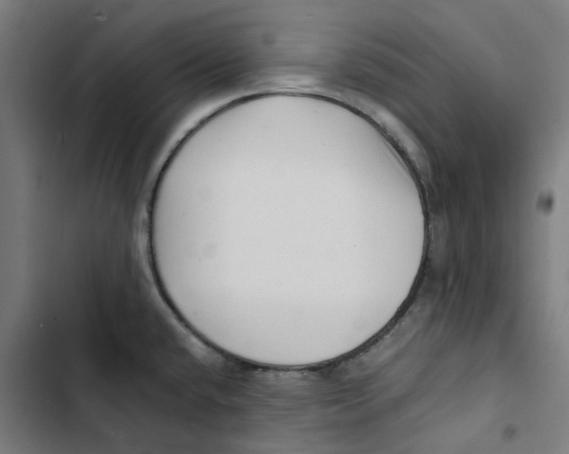 X0000102511432200809051359