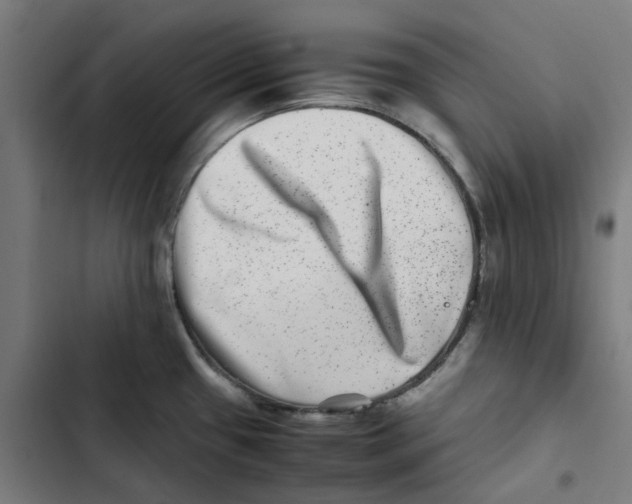 X0000102511433200809051359