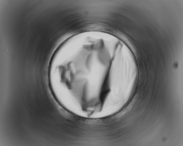 X0000102511434200809051359