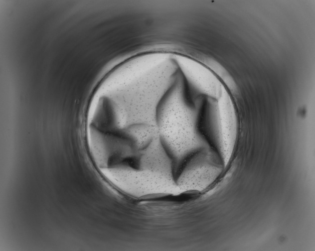 X0000102511436200809051359