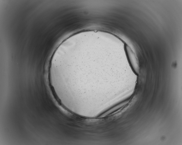 X0000102511437200809051359