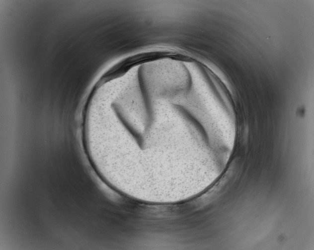 X0000102511438200809051359