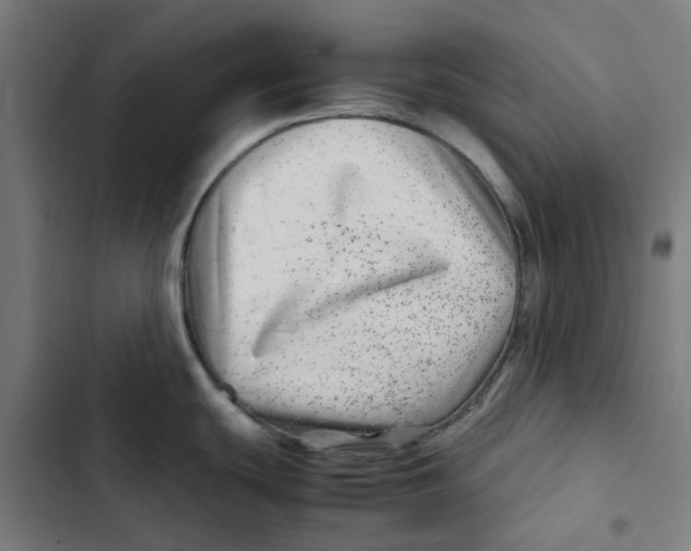 X0000102511439200809051359