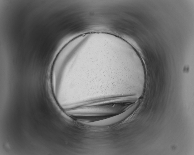 X0000102511440200809051359
