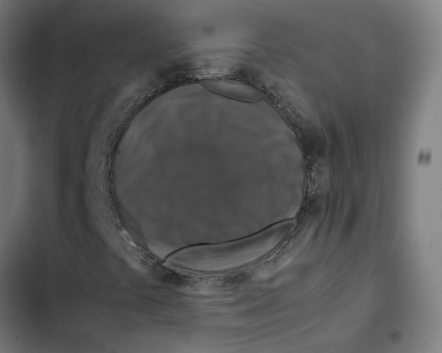 X0000102511441200809051358