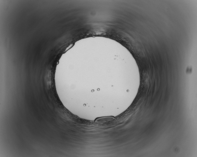 X0000102511442200809051358