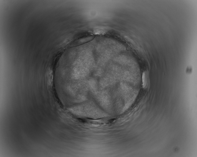 X0000102511443200809051358
