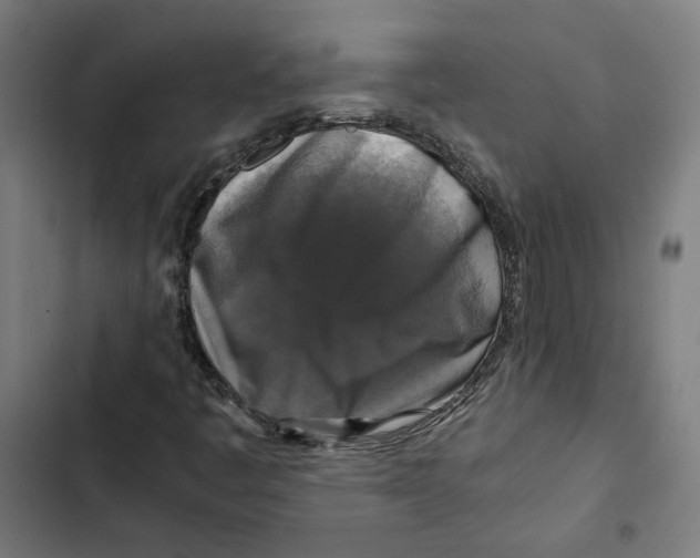 X0000102511445200809051358