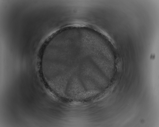 X0000102511448200809051358
