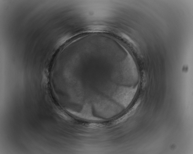X0000102511449200809051358