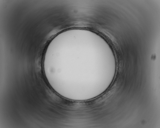 X0000102511451200809051358