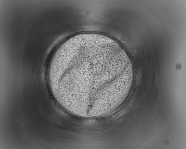 X0000102511454200809051358