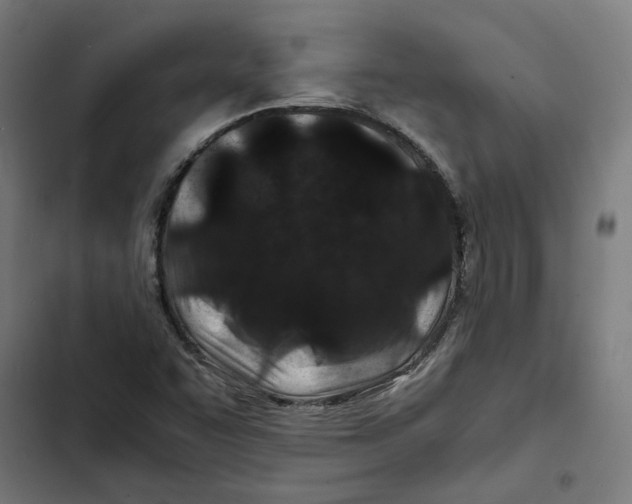 X0000102511455200809051358