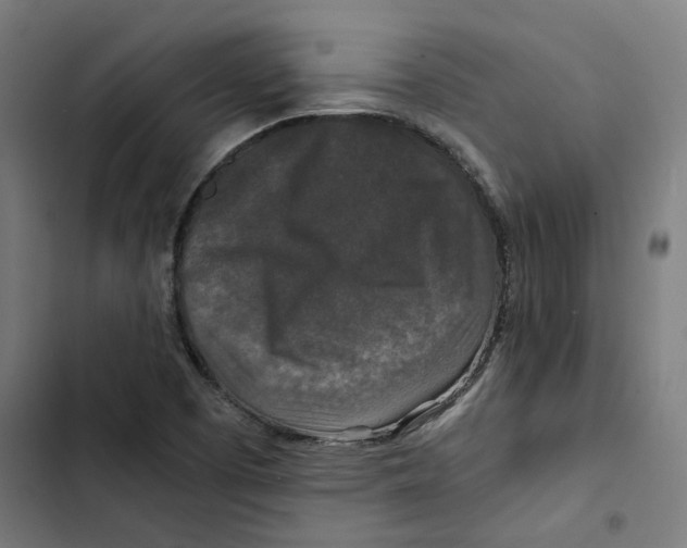 X0000102511457200809051358