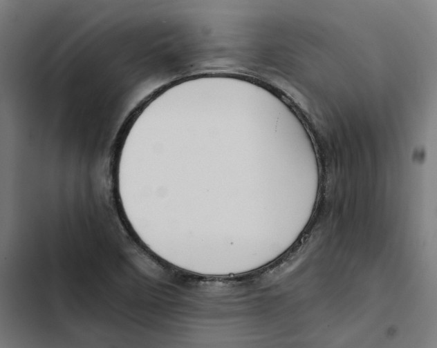 X0000102511458200809051358