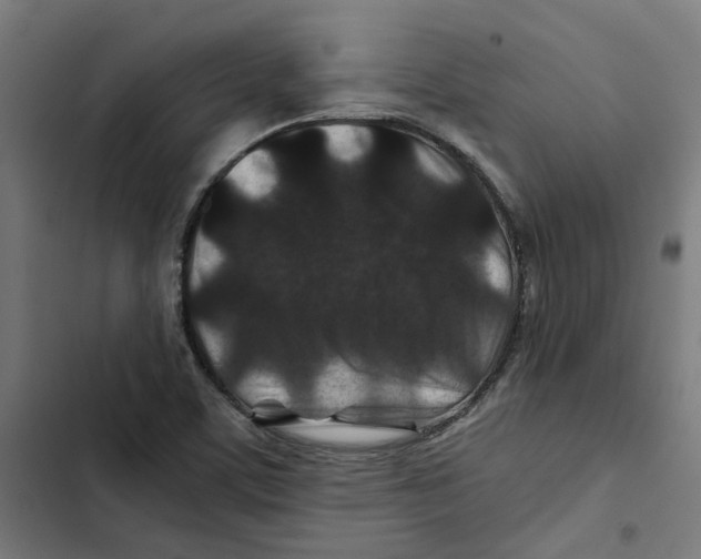 X0000102511459200809051358
