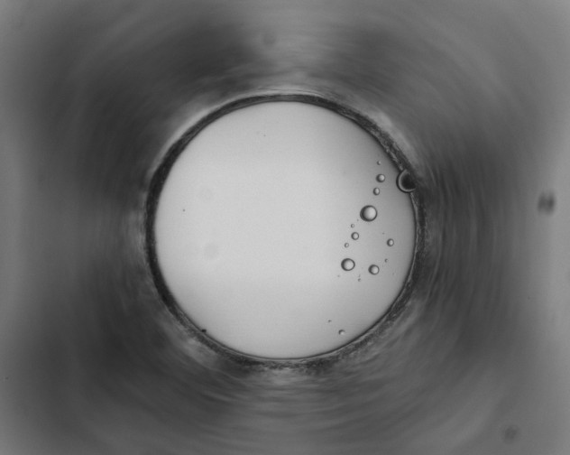 X0000102511460200809051358